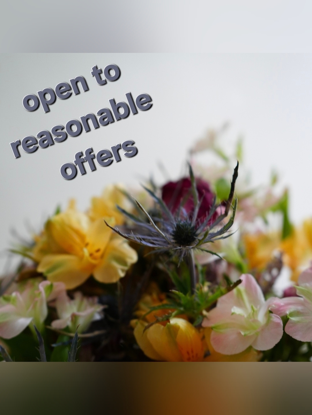 💐Reasonable Offers💐